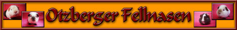 otzberger fellnasen